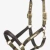 LeMieux Capella Headcollar - Forest