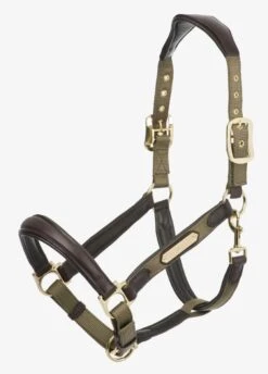 LeMieux Capella Headcollar - Forest