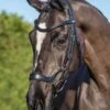LeMieux Arika Drop Bridle - Black/Silver