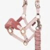 LeMieux Mini Vogue Headcollar & Leadrope - Pink Quartz