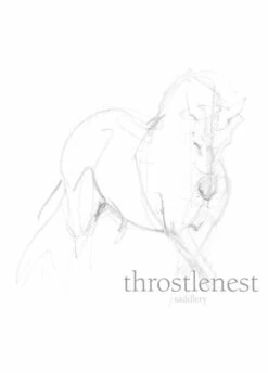 LeMieux Young Rider Base Layer - Orchid 5 LeMieux Young Rider Base Layer - Orchid -Horse Rider Shop lm yr base orchid 3rdy