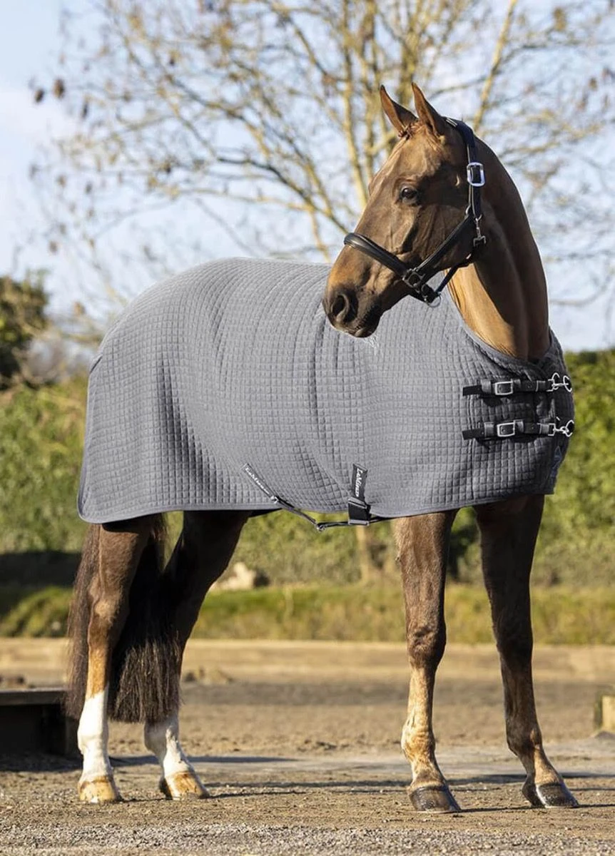 LeMieux Arika Clima-Tek Rug - Grey 1 LeMieux Arika Clima-Tek Rug - Grey