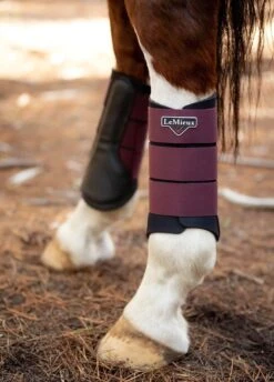 LeMieux Grafter Brushing Boots - Rioja -Horse Rider Shop lmbootrioja6rdy