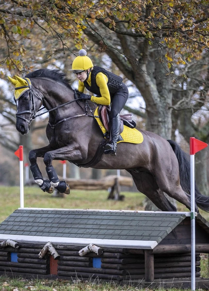 LeMieux Suede CC Square - Dijon 2 LeMieux Suede CC Square - Dijon - Image 2