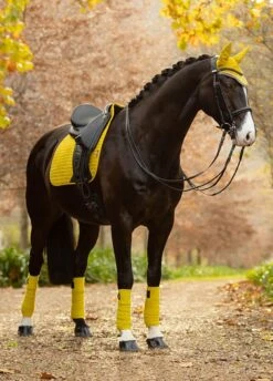 LeMieux Suede Dressage Square - Dijon -Horse Rider Shop lmdressdijon3rdy