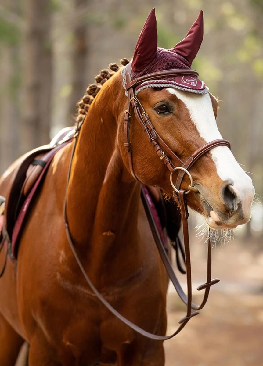 LeMieux Classic Fly Hood - Rioja 2 LeMieux Classic Fly Hood - Rioja - Image 2