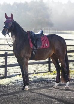 LeMieux Loire Classic Dressage Square - Rioja -Horse Rider Shop lmloiredressrioja3rdy