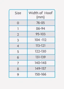 Woof Wear Medical Hoof Boot - Blue -Horse Rider Shop medicalhoofchartrdy