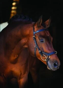 Rambo Micklem Multi Bridle - Black