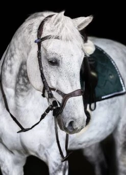 Ps Of Sweden Nirak Bridle - Brown