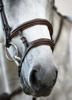 PS Of Sweden Paris Bridle - Brown 10 PS Of Sweden Paris Bridle - Brown -Horse Rider Shop parisbrn5rdy