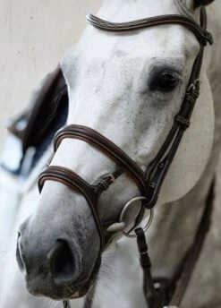 PS Of Sweden Paris Bridle - Brown 12 PS Of Sweden Paris Bridle - Brown -Horse Rider Shop parisbrn7rdy