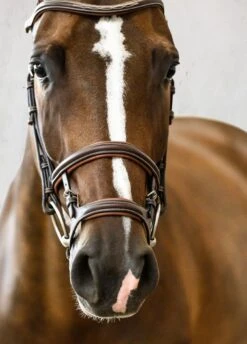 PS Of Sweden Paris Bridle - Brown 13 PS Of Sweden Paris Bridle - Brown -Horse Rider Shop parisbrnrdy