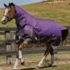 Weatherbeeta Comfitec Plus Dynamic Combo Med/Lite Turnout - Purple/Black