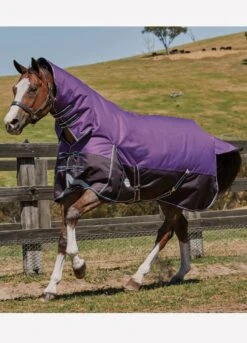 Weatherbeeta Comfitec Plus Dynamic Combo Med/Lite Turnout - Purple/Black