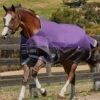 WeatherBeeta ComFiTec Plus Dynamic Standard Neck Lite Rug - Purple/Black