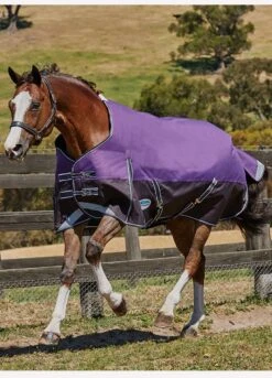 WeatherBeeta ComFiTec Plus Dynamic Standard Neck Lite Rug - Purple/Black