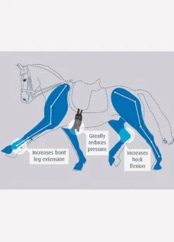 Prolite Short Dressage Girth - Black -Horse Rider Shop prolitehorsediagramrdy