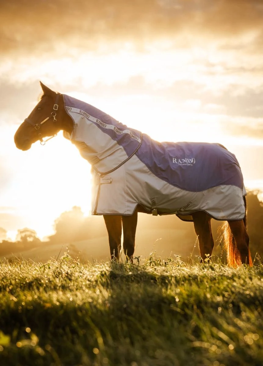 Rambo Autumn Series - Navy/Grey 1 Rambo Autumn Series - Navy/Grey