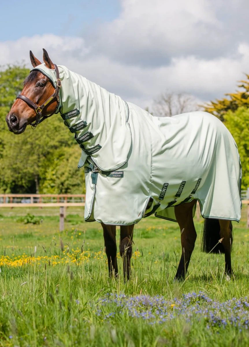 Rambo Hoody - Green/Sage 1 Rambo Hoody - Green/Sage