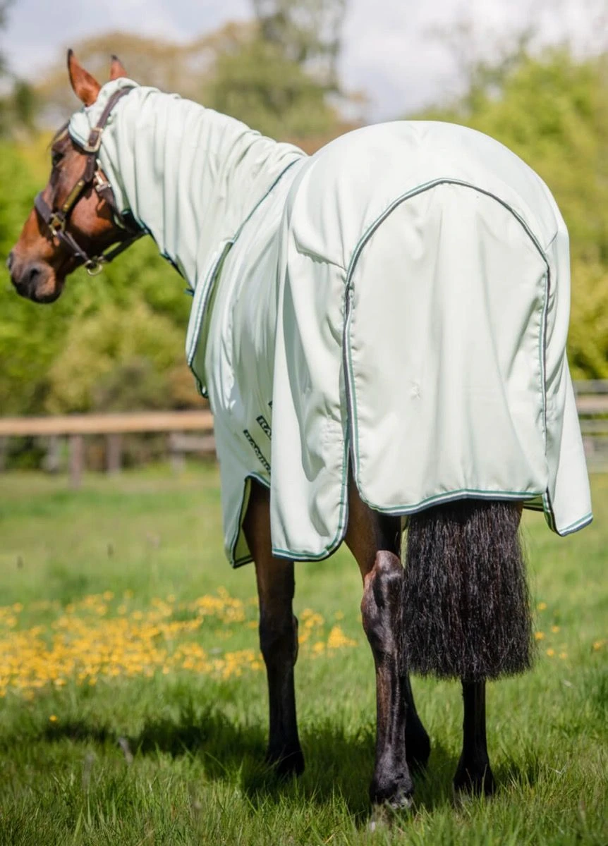 Rambo Hoody - Green/Sage 2 Rambo Hoody - Green/Sage - Image 2