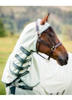 Rambo Hoody - Green/Sage 7 Rambo Hoody - Green/Sage -Horse Rider Shop rambo hoody green sage 4rdy
