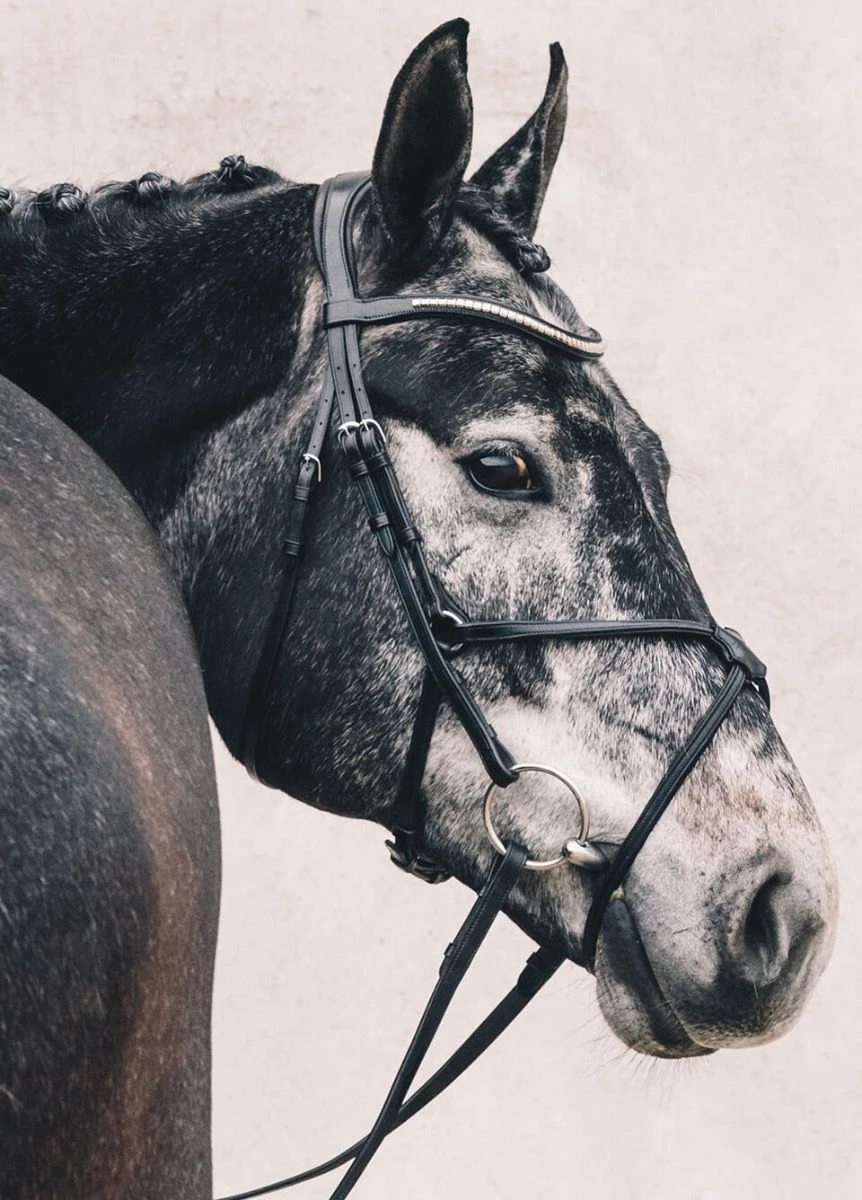 Schockemohle Rio Select Anatomical Bridle - Black 2 Schockemohle Rio Select Anatomical Bridle - Black - Image 2