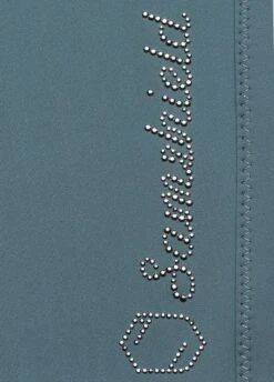 Samshield Ladies Adèle Breeches - Steel Grey -Horse Rider Shop samshieldadelegrey3rdy