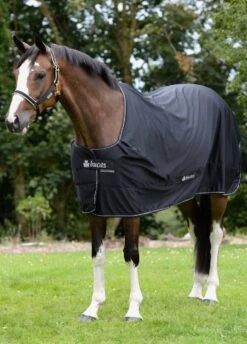 New Bucas Shamrock Power Rug - Black -Horse Rider Shop shamrockpowerblkrdy