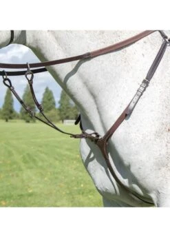 Shires Avignon Breastplate - Havana