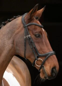 Shires Velociti Rapida Comfort Flash Bridle - Black