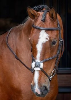 Shires Velociti RAPIDA Grackle Bridle - Havana