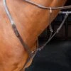 Shires Velociti RAPIDA Breastplate - Havana