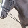 Shires Soft Lunging Aid - Black