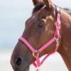 Shires Topaz Nylon Headcollar - Pink