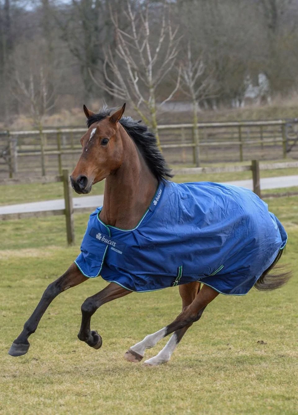 Bucas Smartex Rain Rug - Blue 1 Bucas Smartex Rain Rug - Blue