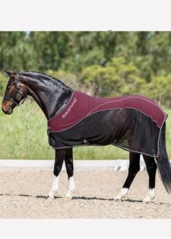 Rambo Sport Cooler - Black/Pomegranate