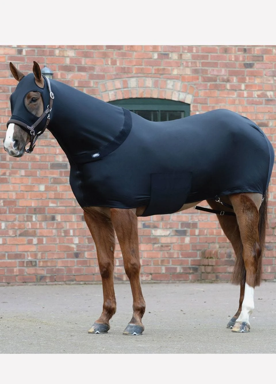 Weatherbeeta Stretch Rug With Belly Closure - Black 1 Weatherbeeta Stretch Rug With Belly Closure - Black