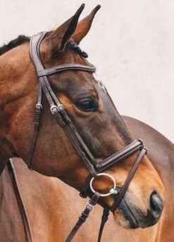 Schockemohle Tokyo Select Anatomical Bridle - Brown -Horse Rider Shop tokyoselectbrn2rdy