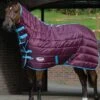 Weatherbeeta 210D Channel Quilt Combo Medium - Grape/Blue