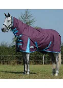 Weatherbeeta Essential Combo Neck Medium - Grape/Blue