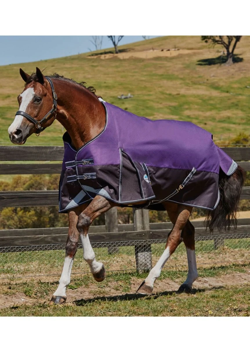 Weatherbeeta Plus Dynamic Standard Medium - Purple/Black 1 Weatherbeeta Plus Dynamic Standard Medium - Purple/Black