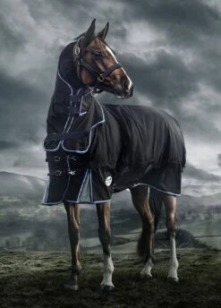 Weatherbeeta Ultra-Cozi II Detach-A-Neck Medium - Charcoal/Blue/White