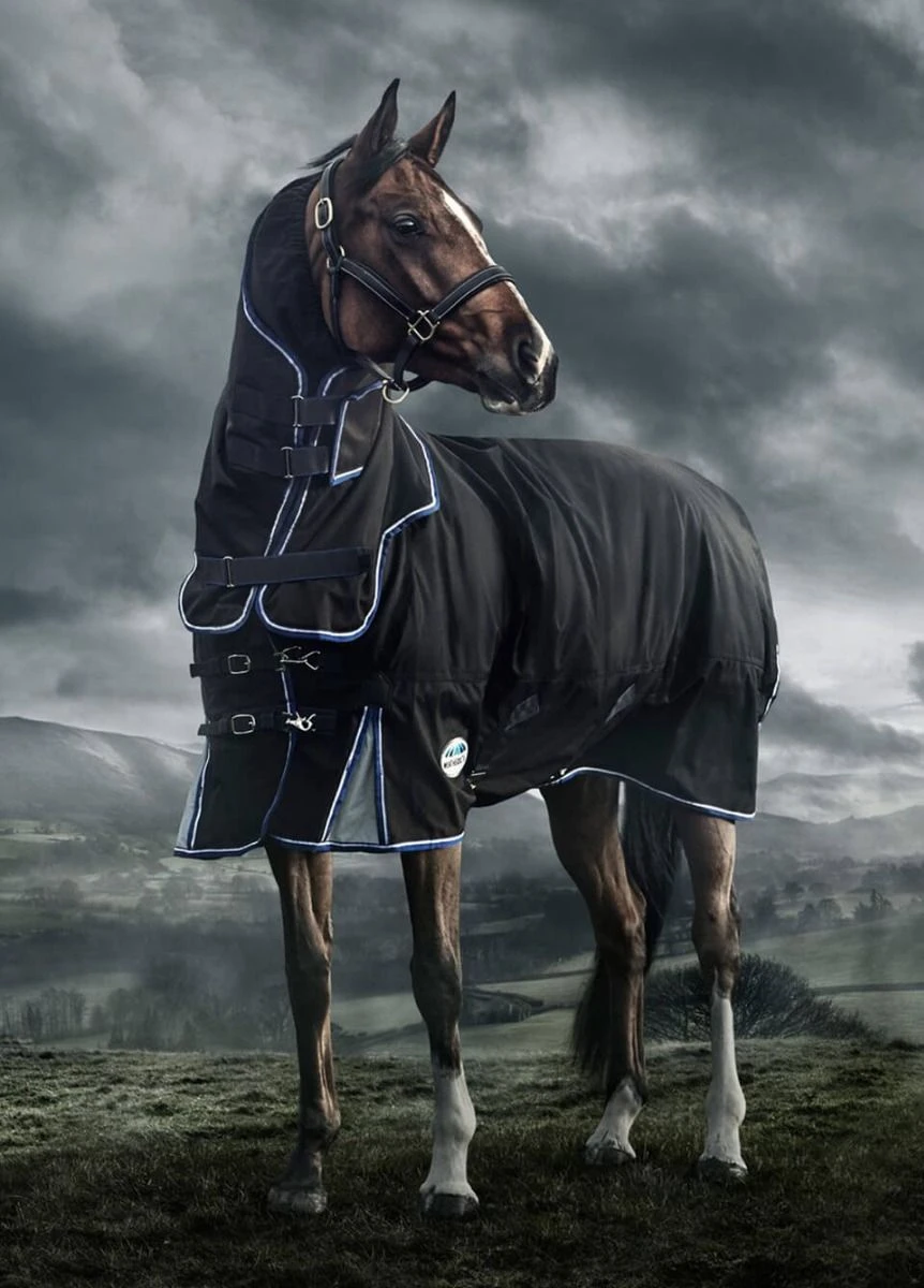 Weatherbeeta Ultra-Cozi II Detach-A-Neck Medium - Charcoal/Blue/White 1 Weatherbeeta Ultra-Cozi II Detach-A-Neck Medium - Charcoal/Blue/White