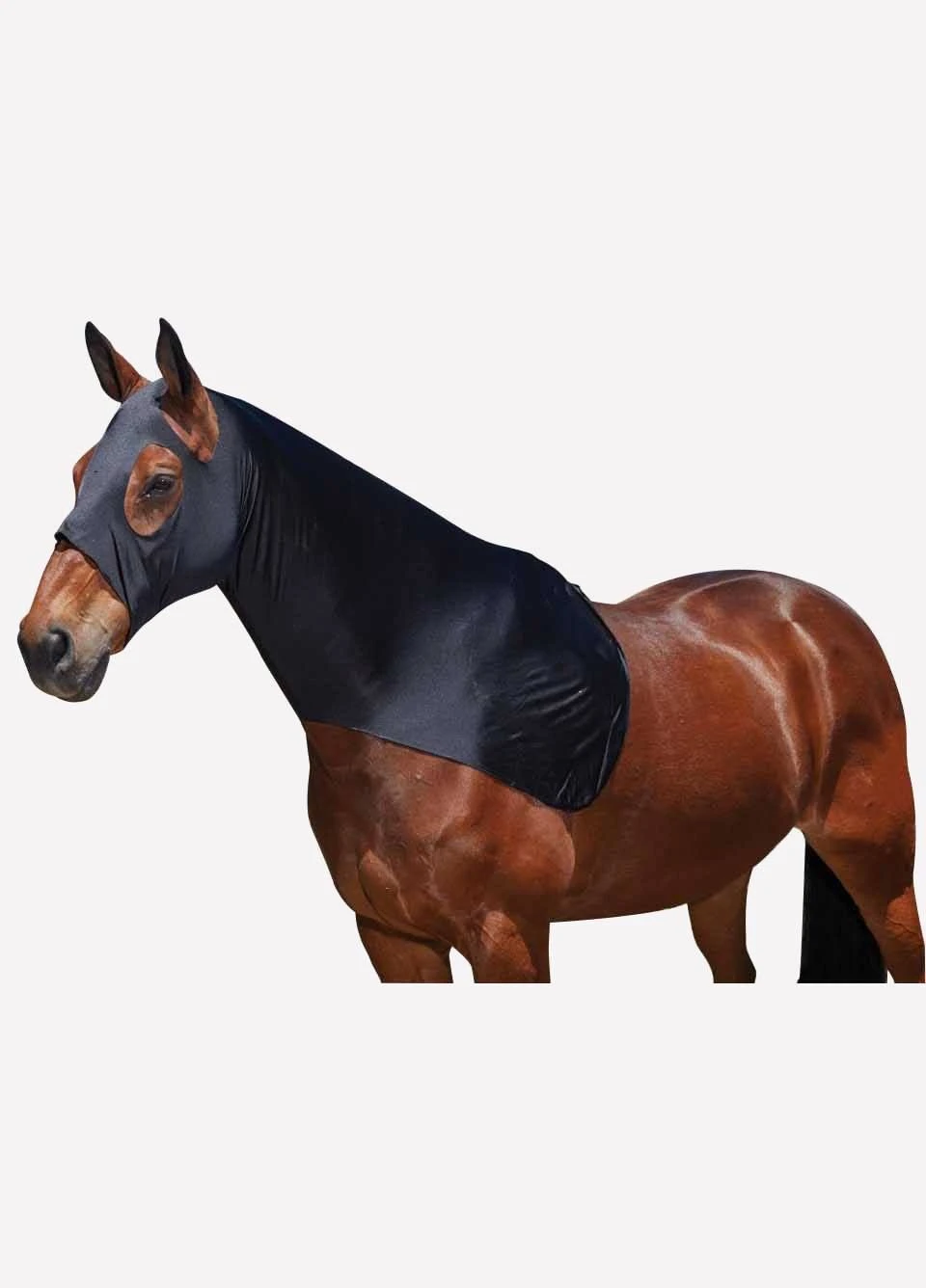 Weatherbeeta Stretch Hood - Black 1 Weatherbeeta Stretch Hood - Black