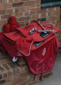 Weatherbeeta Coordinate Headcollar - Ruby -Horse Rider Shop wbbirthday2 2