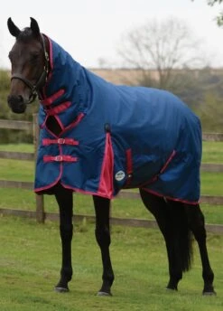 Weatherbeeta ComFITec Classic Combo Neck Medium - Blueberry/Pink