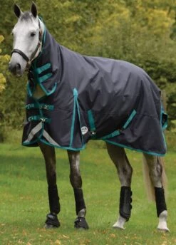 Weatherbeeta ComFITec Plus Dynamic II Combo Medium/Lite - Black/Aqua