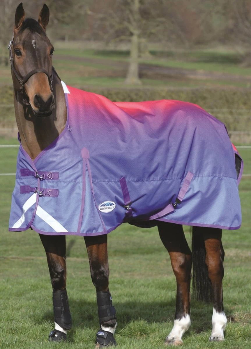 Weatherbeeta ComFiTec Plus Dynamic Standard Neck Lite Turnout Rug - Purple Ombre 1 Weatherbeeta ComFiTec Plus Dynamic Standard Neck Lite Turnout Rug - Purple Ombre