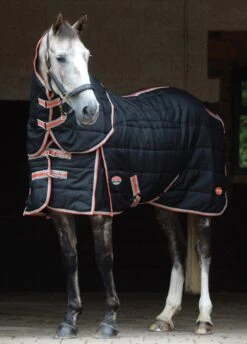 Weatherbeeta ComFITec Therapy-Tec Channel Quilt Detach-A-Neck Medium - Black/Silver/Red